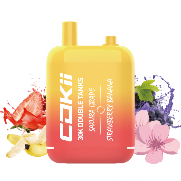 COKII 主图-03 Vape cokii bar 16000 puff 16K E-savuke-10PCS/1 laatikko