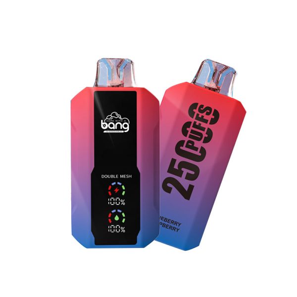 bang 25000-10 bang vape 25000 Puffs 25k E-savuke-10PCS/1 laatikko