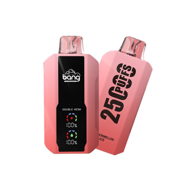 bang 25000-11 bang vape 25000 Puffs 25k E-savuke-10PCS/1 laatikko