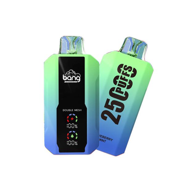 bang 25000-5 bang vape 25000 Puffs 25k E-savuke-10PCS/1 laatikko