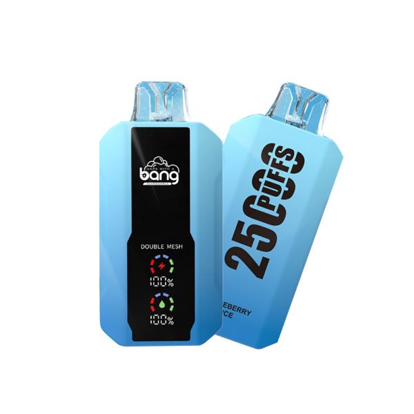 bang 25000-6 bang vape 25000 Puffs 25k E-savuke-10PCS/1 laatikko
