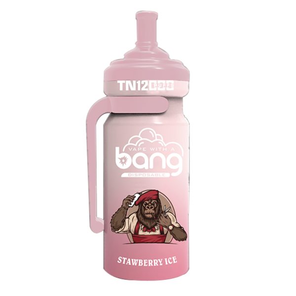 bang NT 12000-9 Vape Bang NT 12000 puff 12K E-savuke-10PCS/1 laatikko